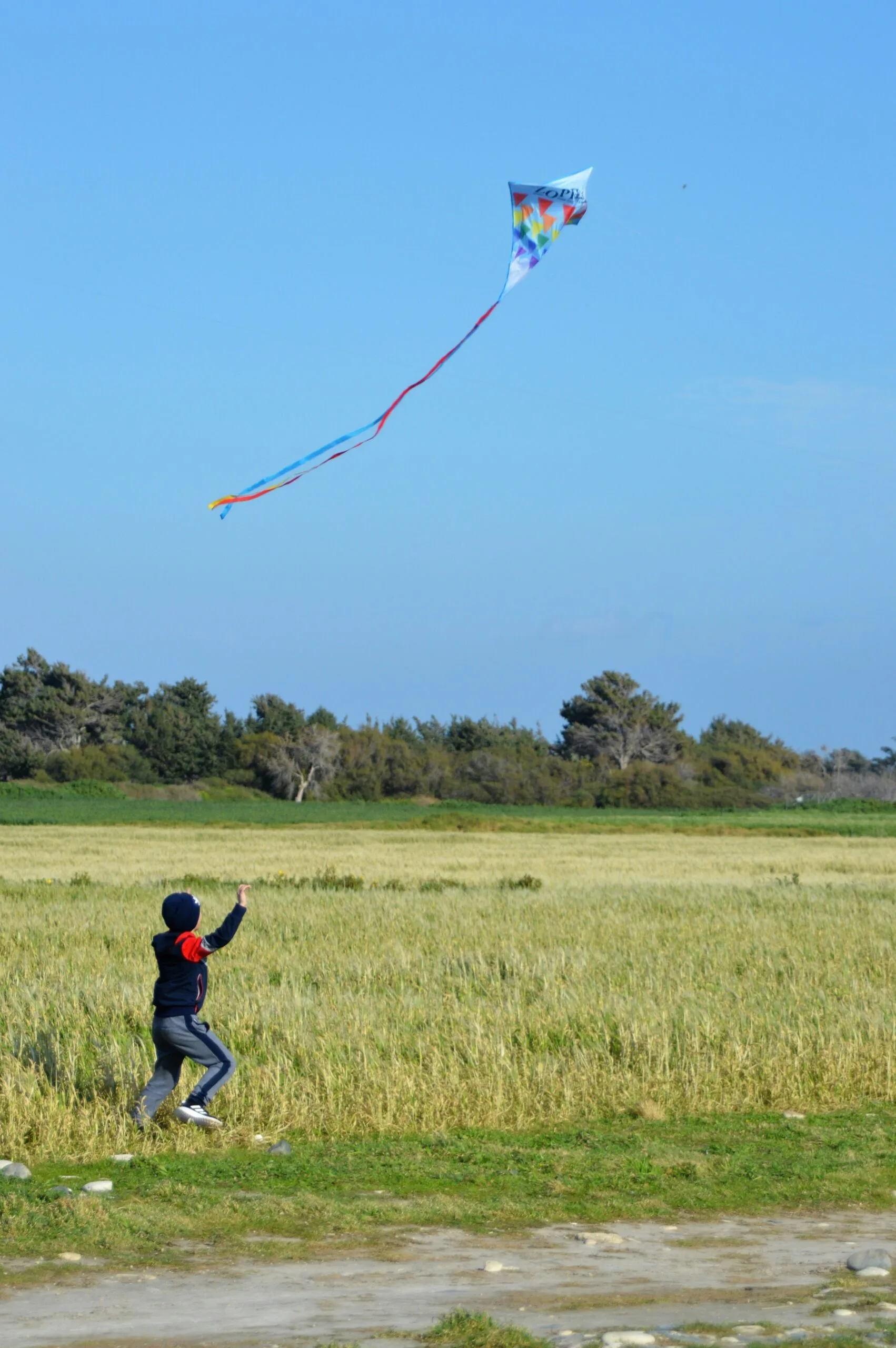 A kite high over the open fields
